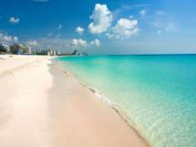 Siesta Key Beaches a Short Walk Away